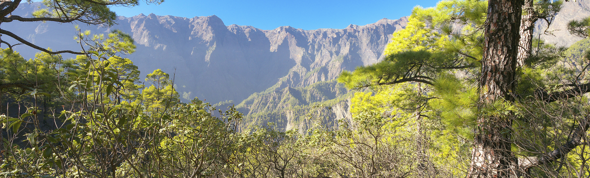 Caldera Taburiente Nationalpark auf La Palma, Spanien