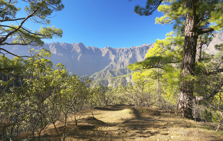 Caldera Taburiente Nationalpark auf La Palma, Spanien