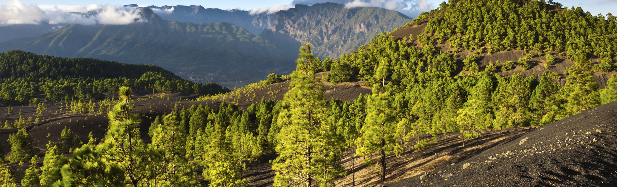 Nadelwald und Bergland von La Palma, Kanarische Inseln