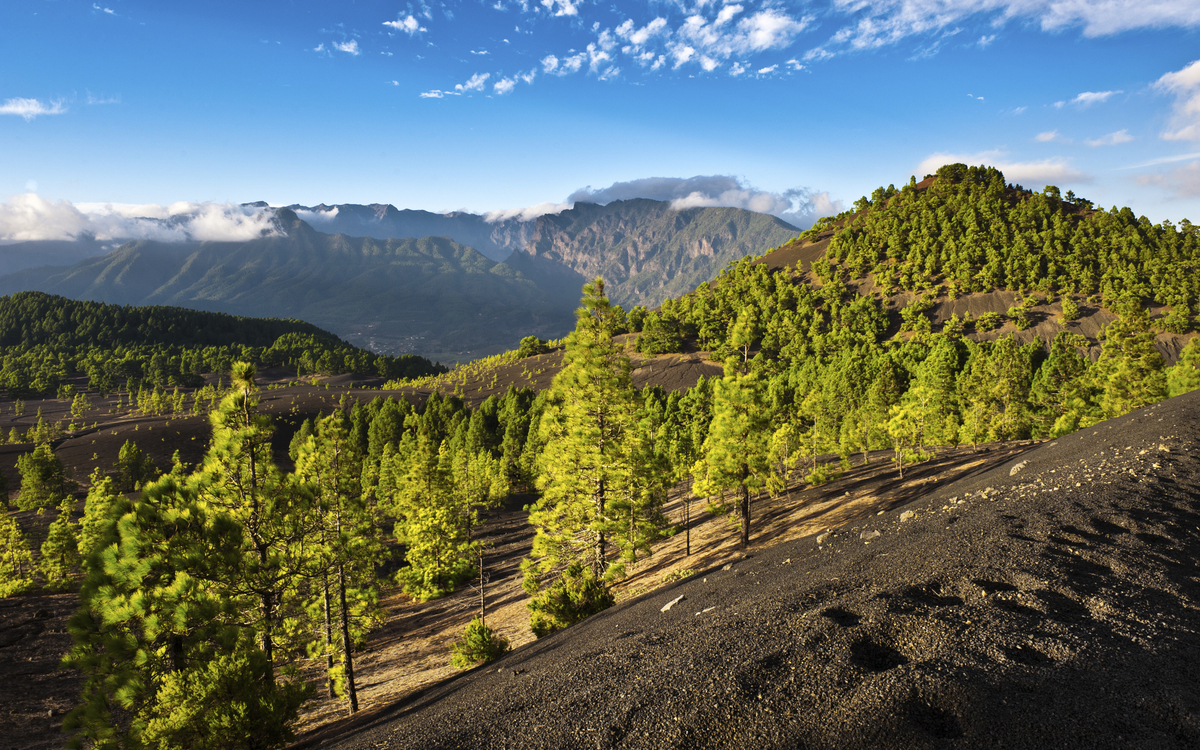 Nadelwald und Bergland von La Palma, Kanarische Inseln