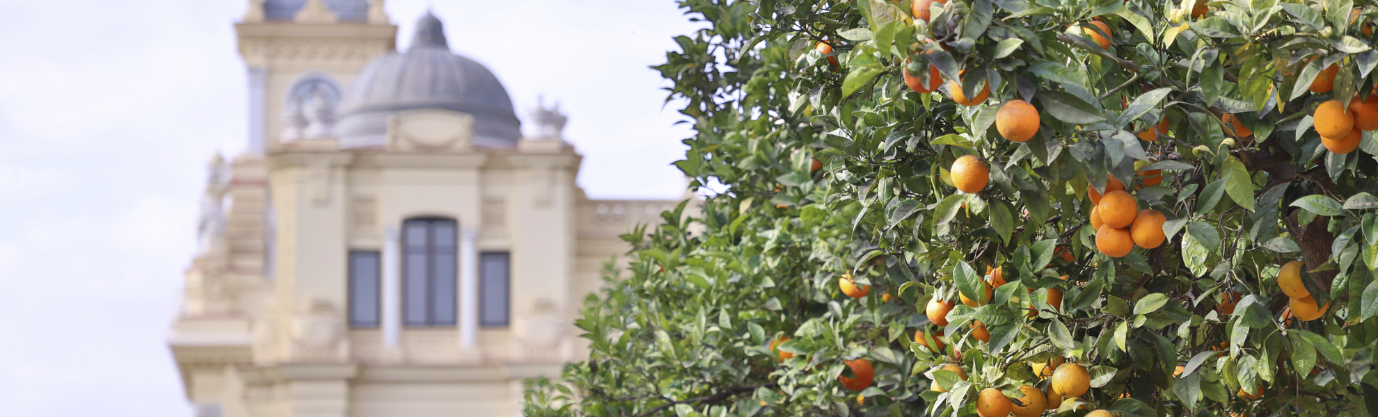 Malaga zur Winterzeit, Spanien