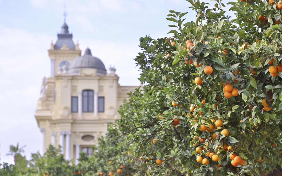 Malaga zur Winterzeit, Spanien