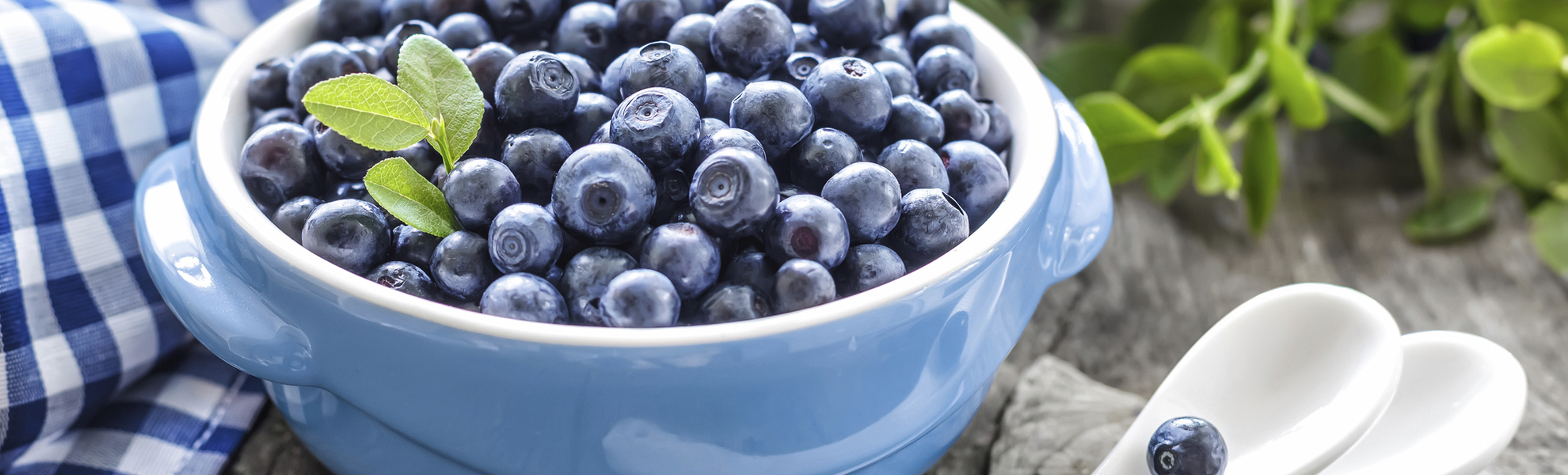 Heidelbeeren, Norwegen