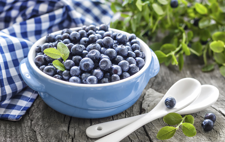 Heidelbeeren, Norwegen