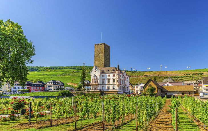 Rüdesheim