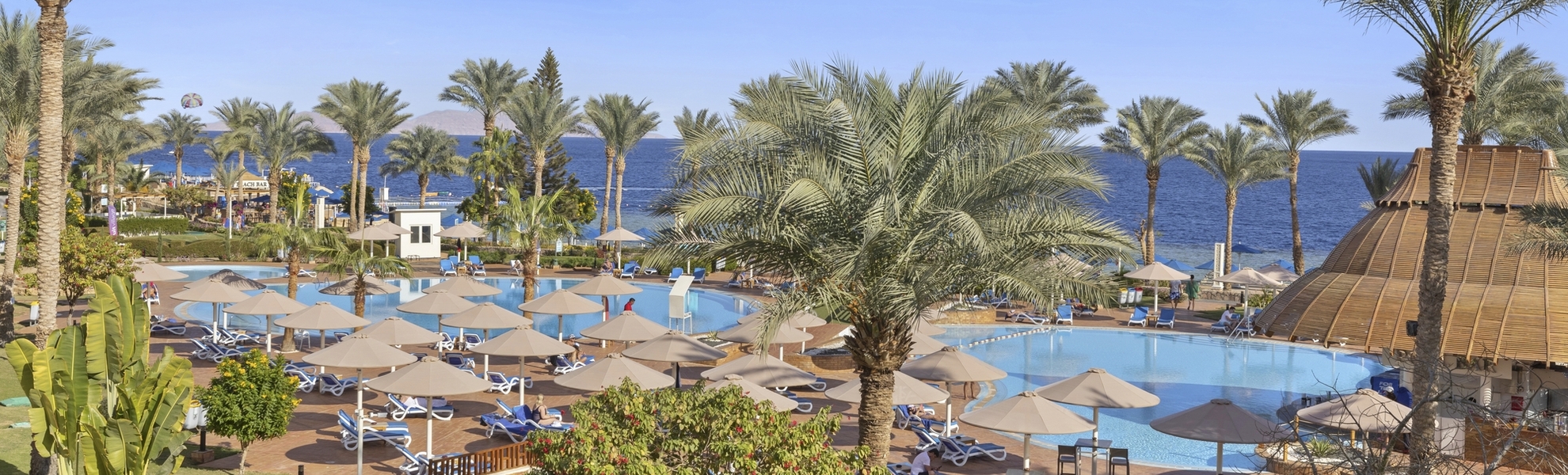 Sharm El Sheikh, Hotel Albatros Royal