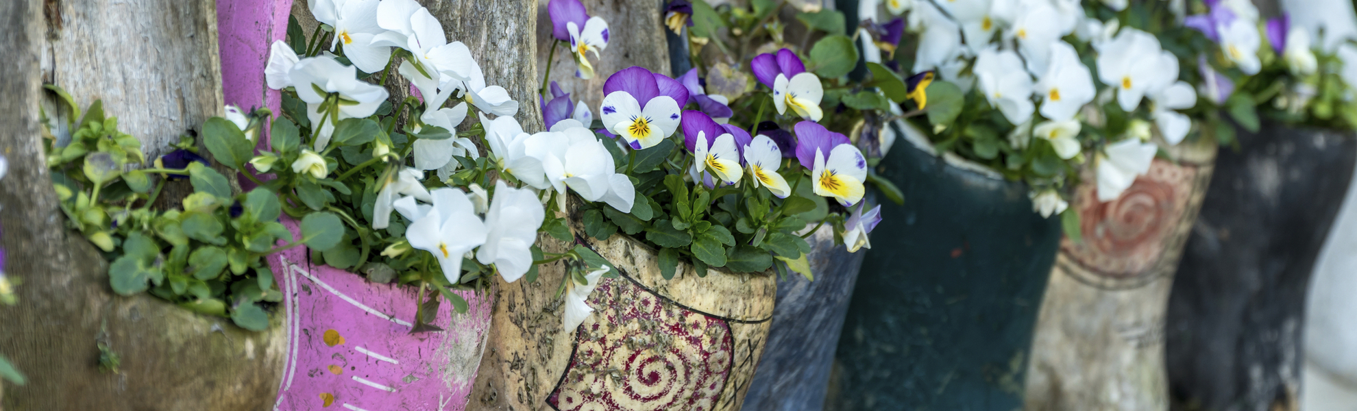 Holländische Klompen