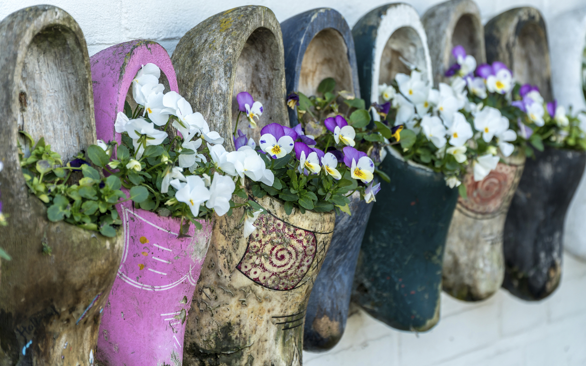 Holländische Klompen