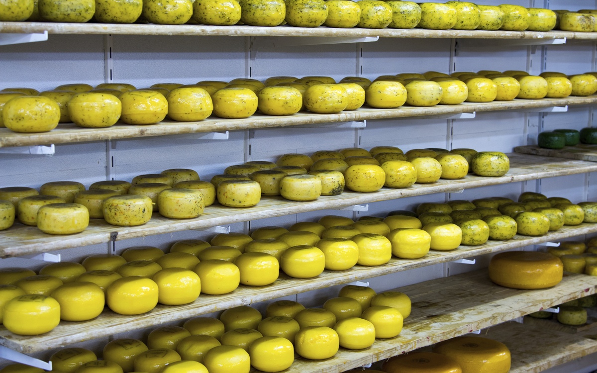 Käserei in Volendam, Niederlande