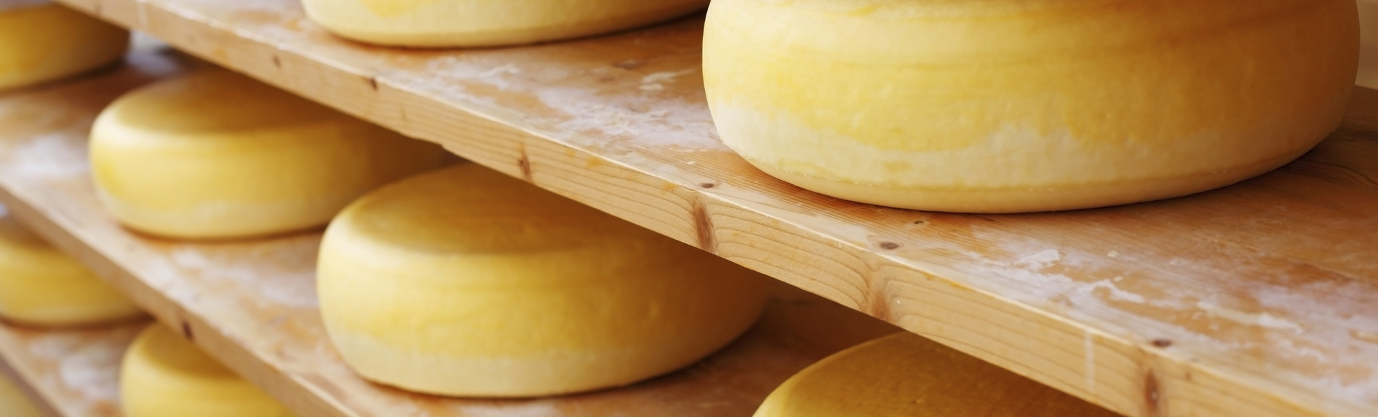 Kaese in der Produktion