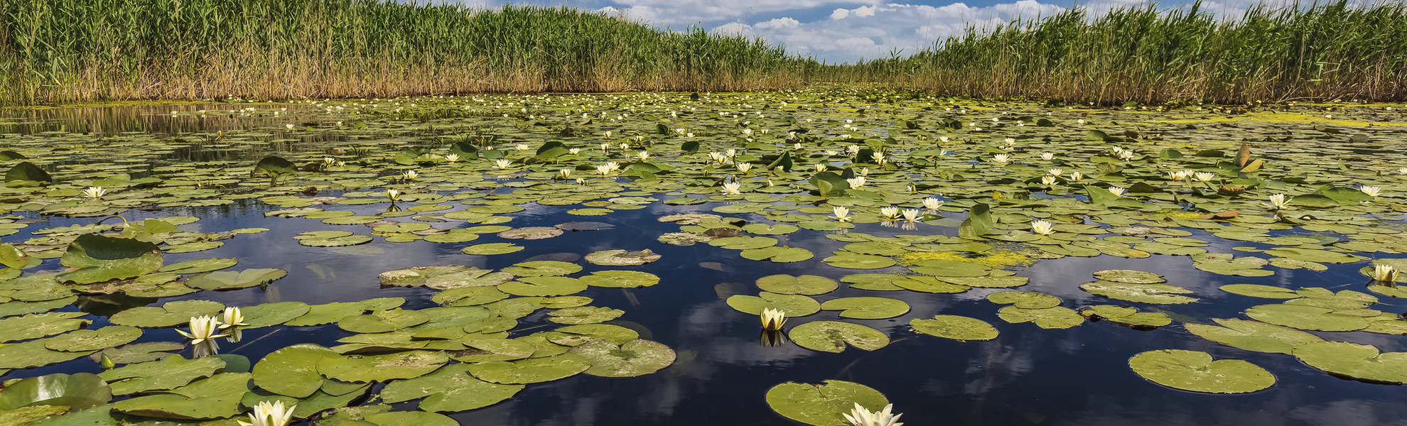 Donaudelta in Rumänien