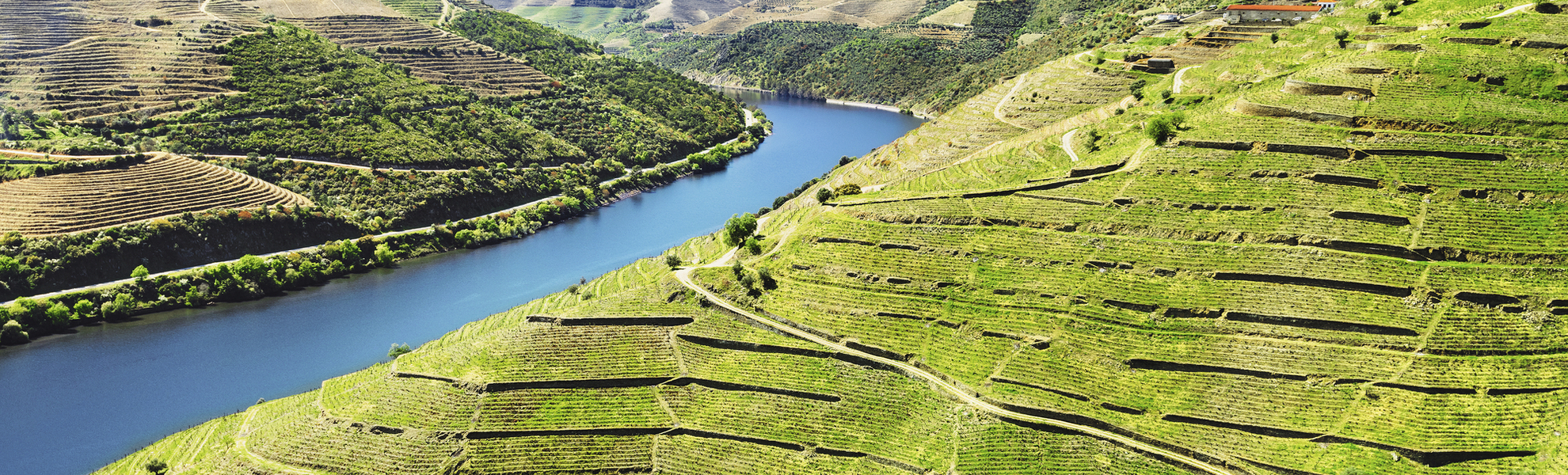 Weinberge bei Pinhao, Portugal