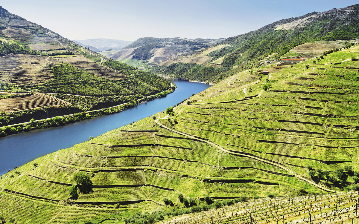 Weinberge bei Pinhao, Portugal