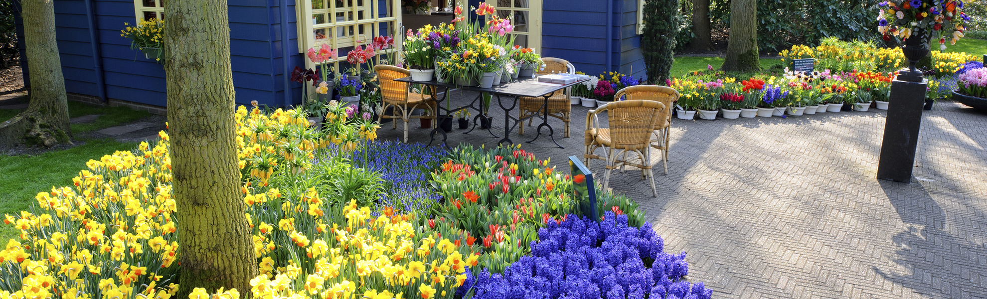 Tulpen auf dem Keukenhof, Niederlande
