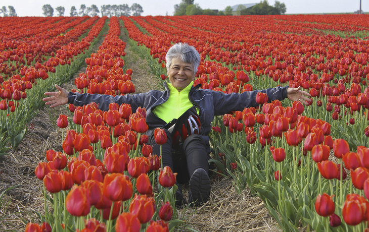Touristin im Tulpenfeld