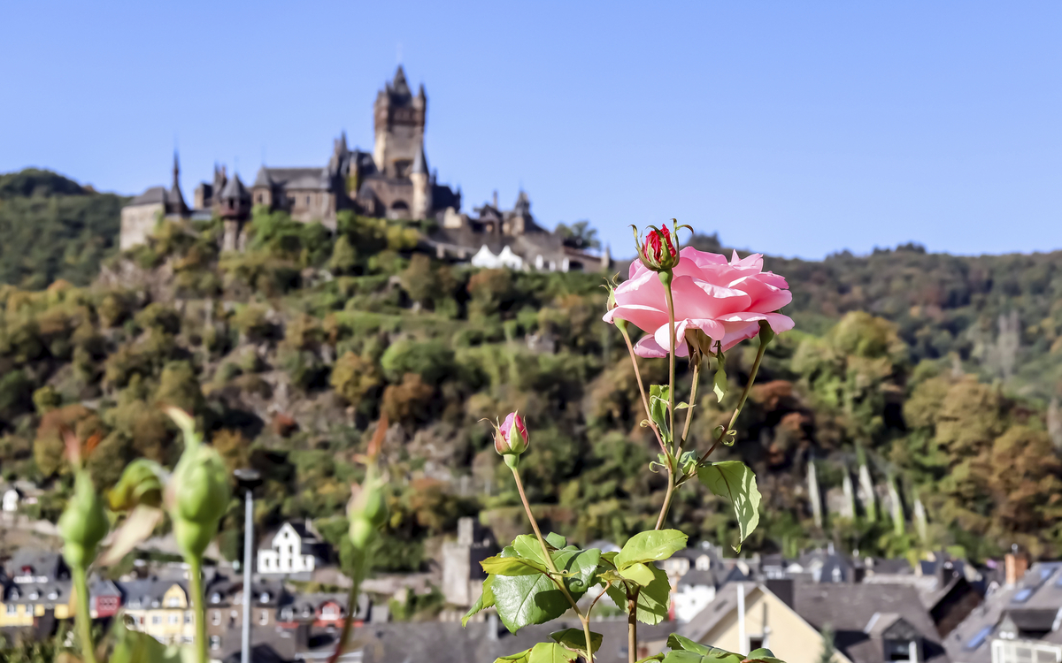 Cochem, Mosel