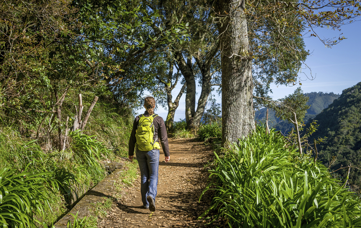 Wanderung durch den Wald