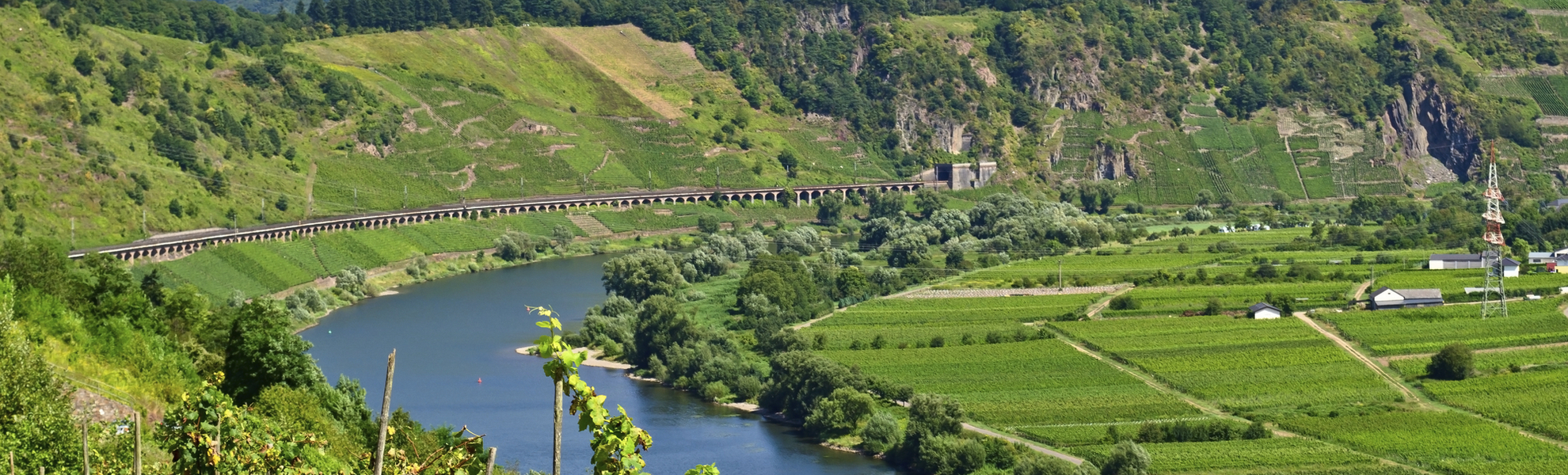 Panorama von Mosel und Weinbergen in Deutschland