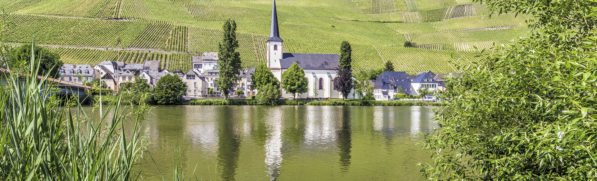 Piesport an der Mosel, Deutschland