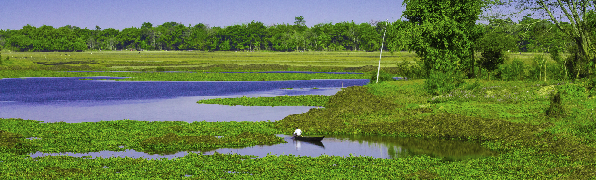 Küste der Majuli Insel, Indien