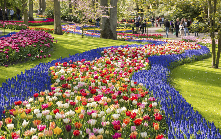 Tulpenpracht auf dem Keukenhof, Niederlande
