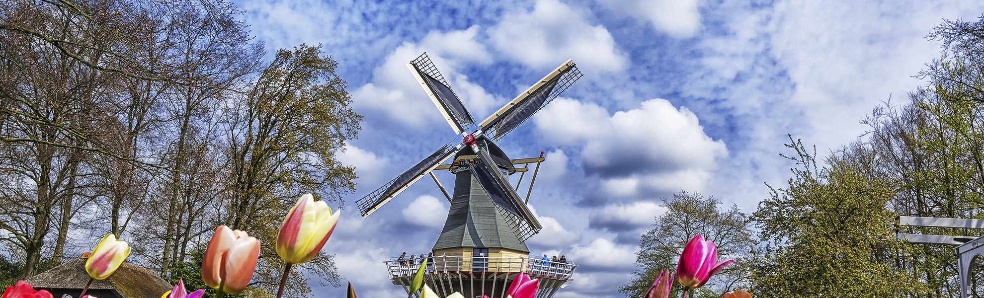 Tulpen auf dem Keukenhof, Niederlande