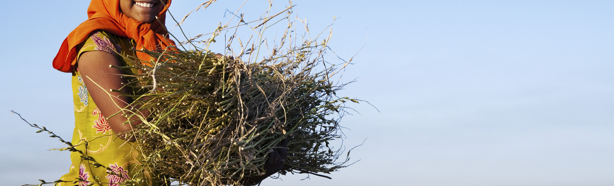 traditionell gekleidete Inderin