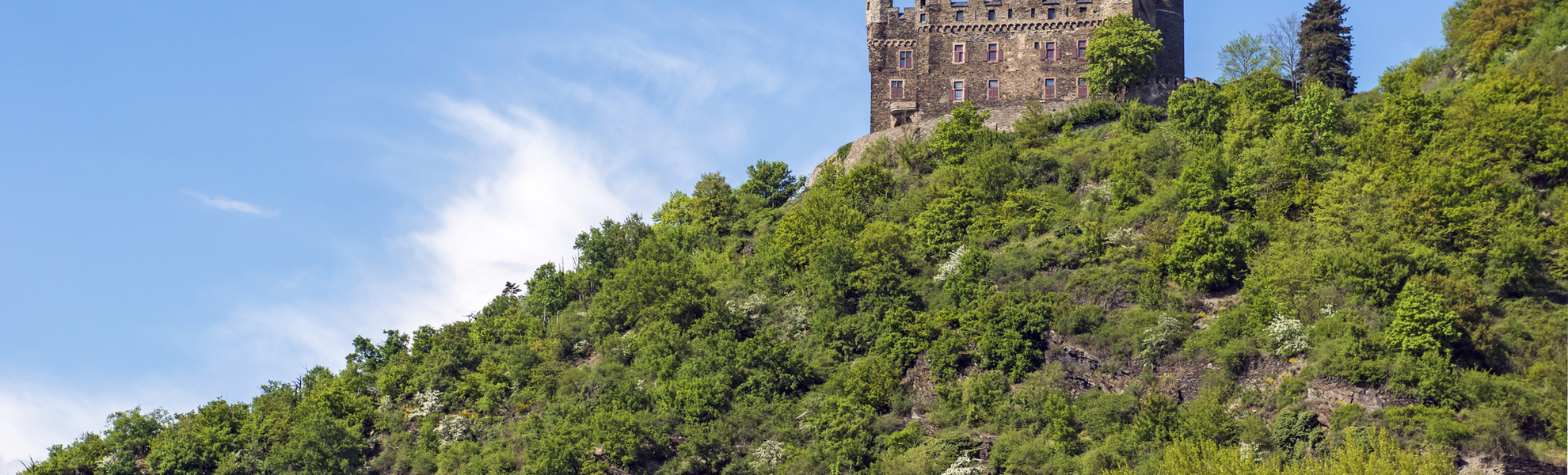 Burg Ehrenfels in Rüdesheim, Deutschland