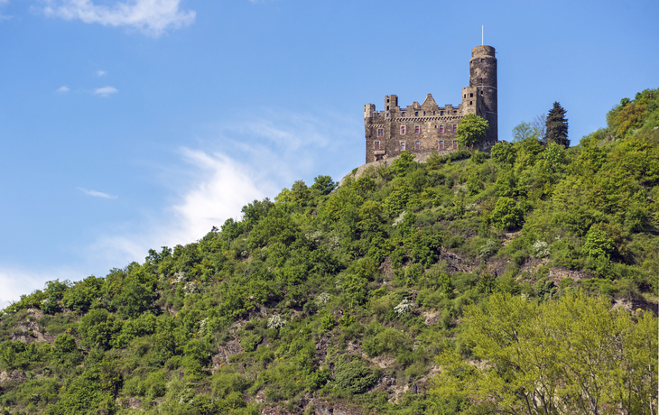 Burg Ehrenfels in Rüdesheim, Deutschland