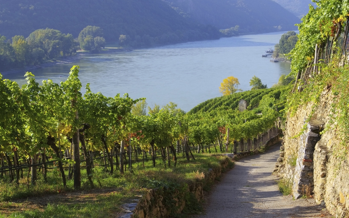 Wachau an der Donau, Österreich
