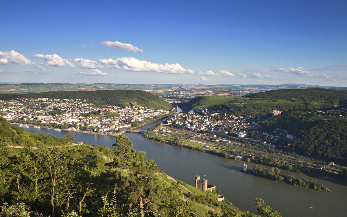 Blick über Rüdesheim am Rhein, Deutschland