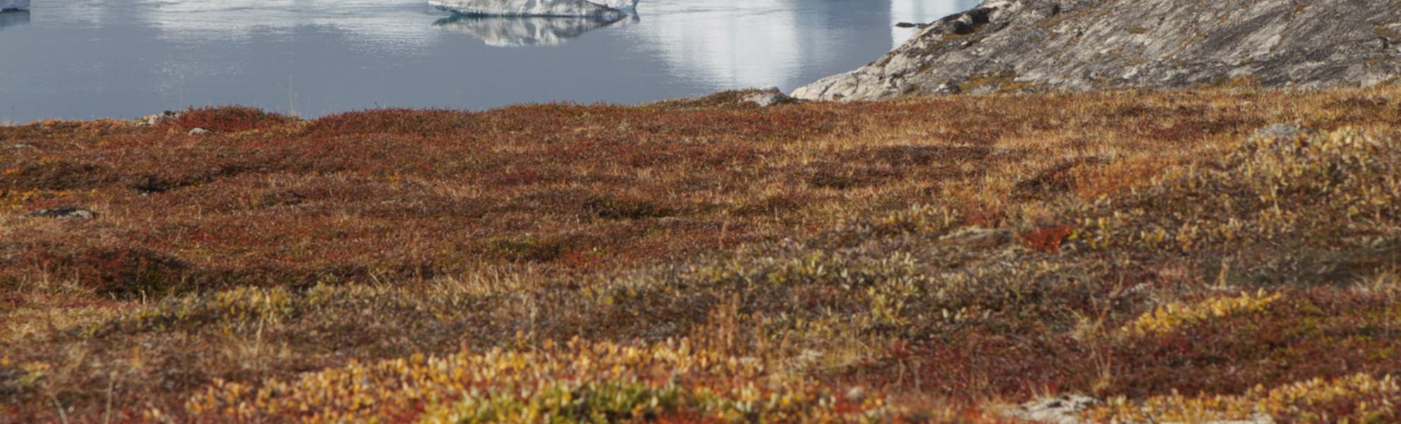 Kangia Gletscher im Iluissat Eisfjord, Grönland