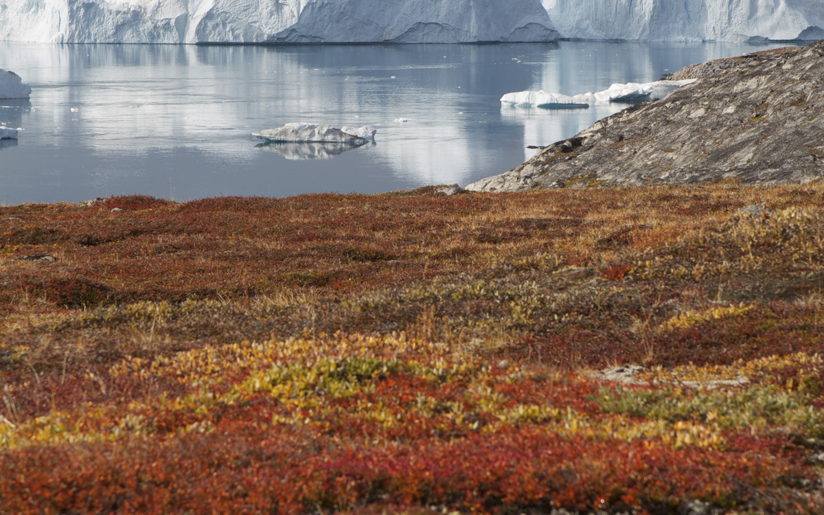 Kangia Gletscher im Iluissat Eisfjord, Grönland