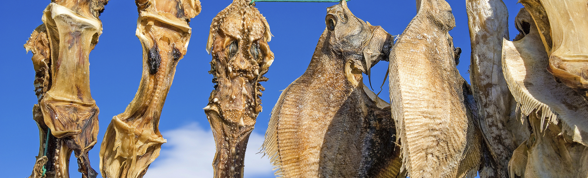 Trockenfisch auf der Leine