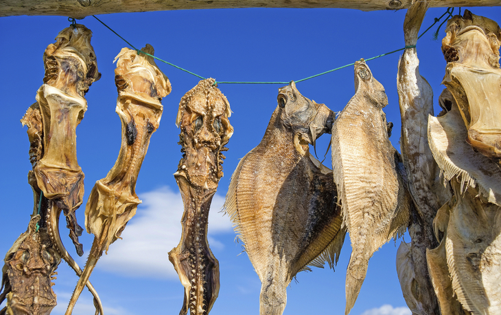 Trockenfisch auf der Leine