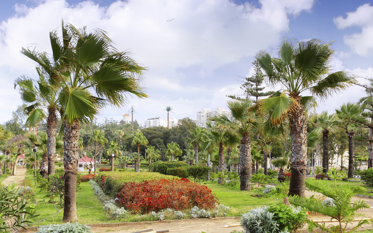 Garten des Montaza Palast, Alexandria