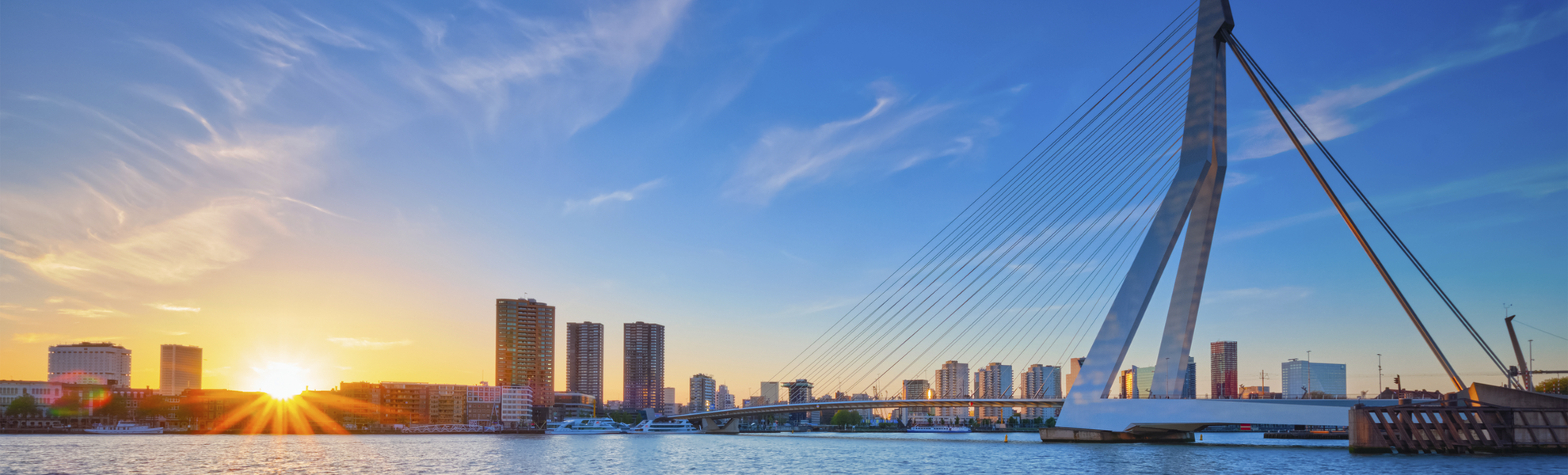 Die Rotterdamer Erasmus-Brücke im Abendlicht, Niederlande