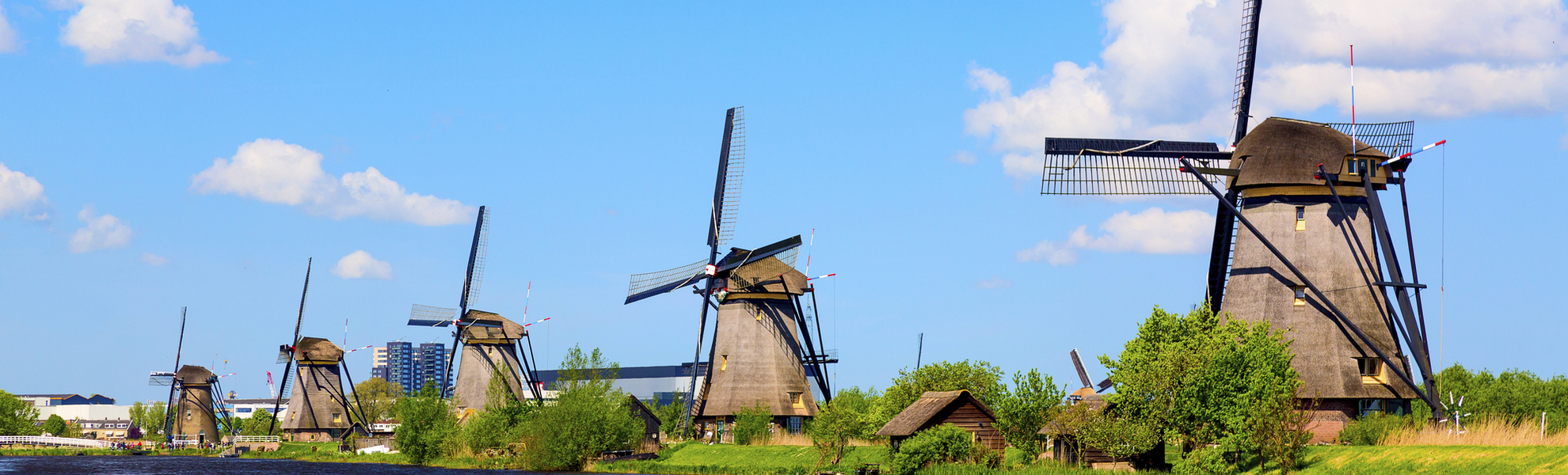 Windmühlen mit Tulpen