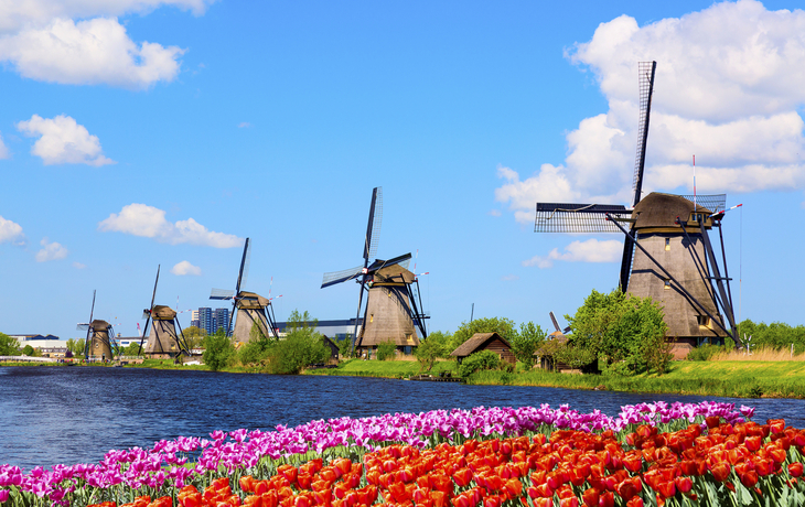 Windmühlen mit Tulpen