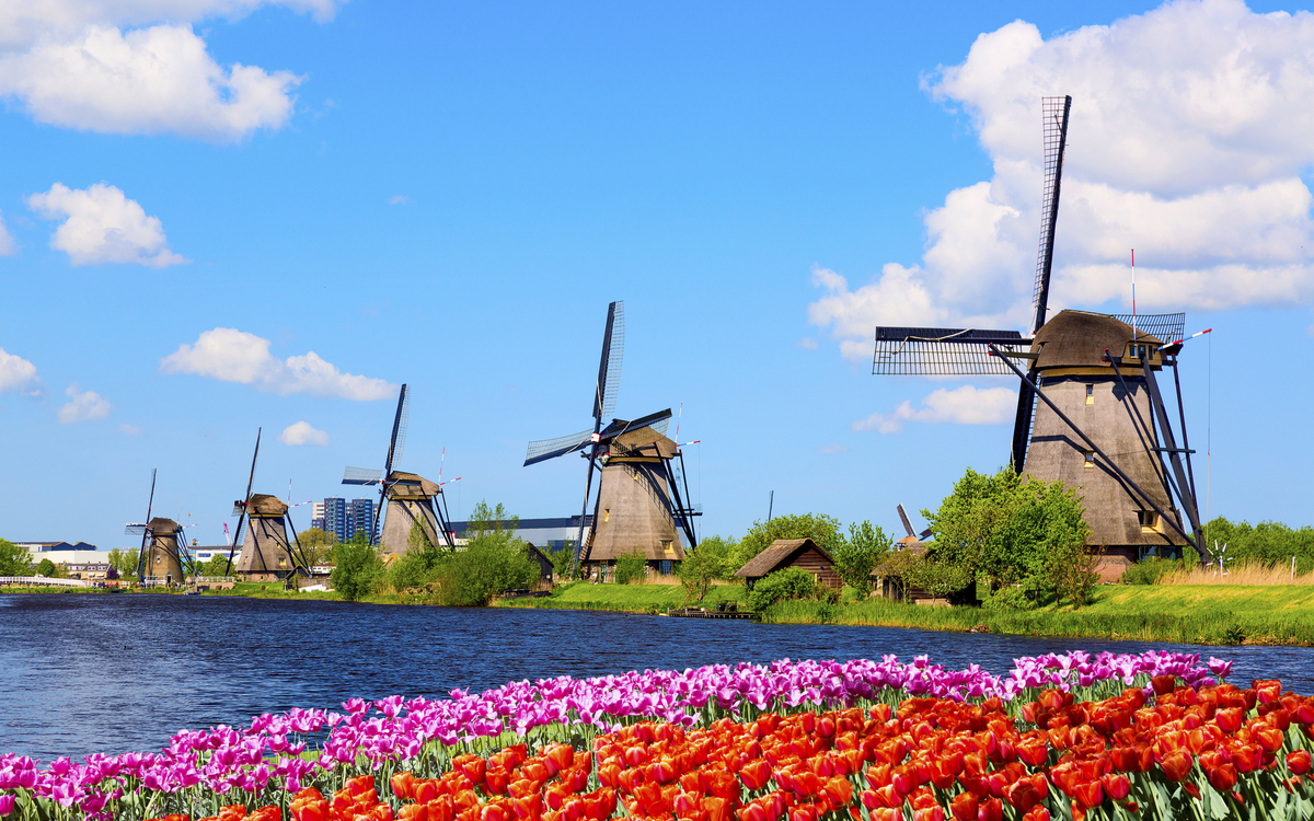 Windmühlen mit Tulpen