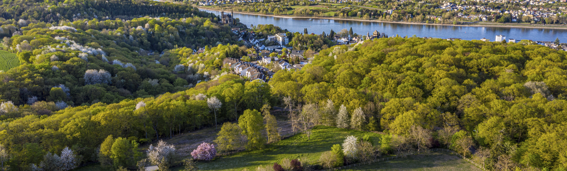 Rheinpanorama Remagen