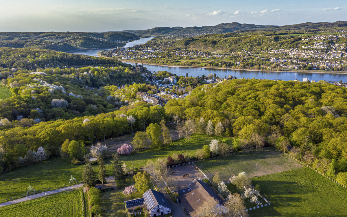 Rheinpanorama Remagen