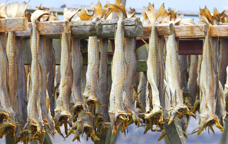 Getrockneter Fisch