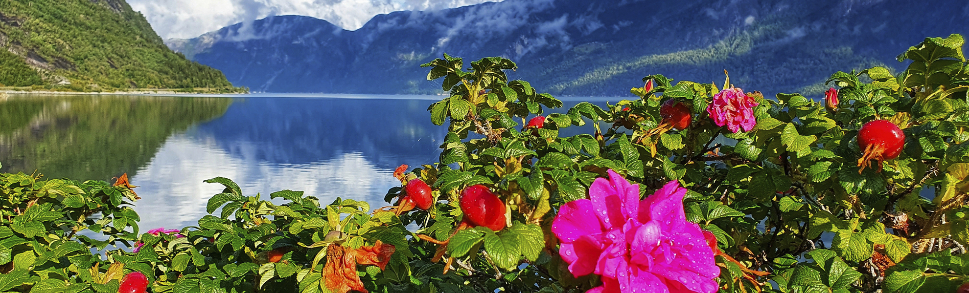 Blick auf den Eidfjord