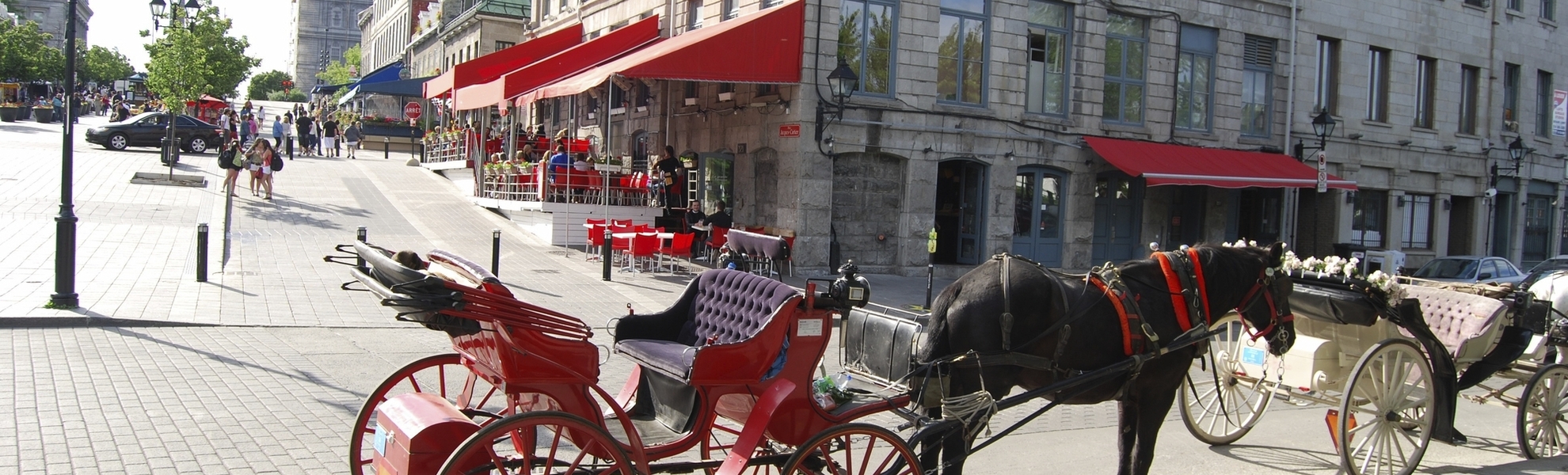 Pferdekutsche in Montreal, Kanada