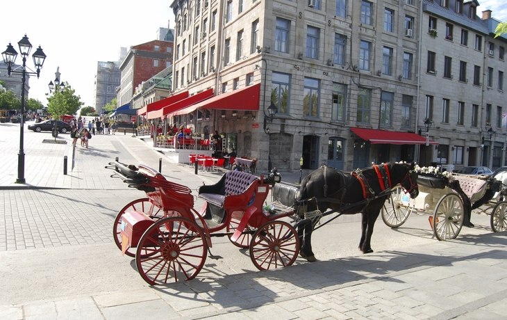 Pferdekutsche in Montreal, Kanada