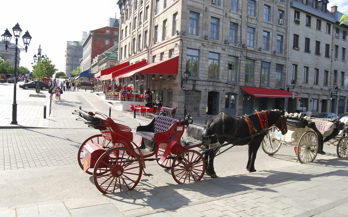 Pferdekutsche in Montreal, Kanada