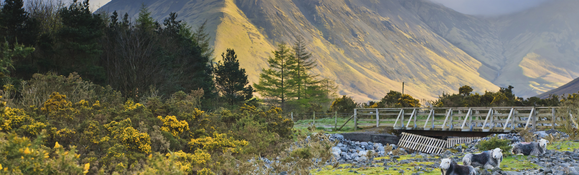 Landschaft bei Lerwick auf den Shetlandinseln, Schottland