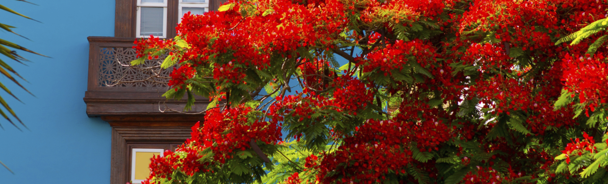 Kolonialhaus in Santa Cruz de La Palma, Kanarische Inseln