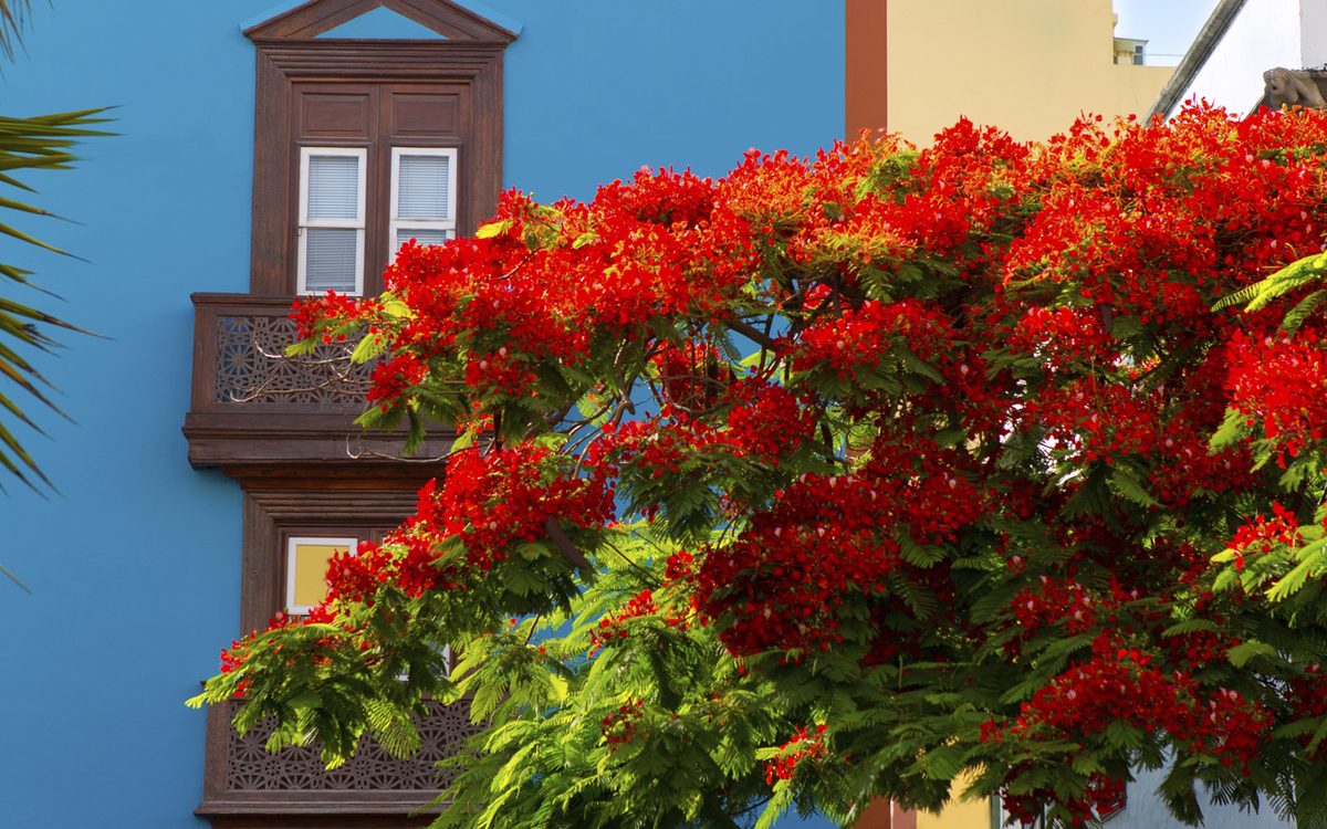 Kolonialhaus in Santa Cruz de La Palma, Kanarische Inseln